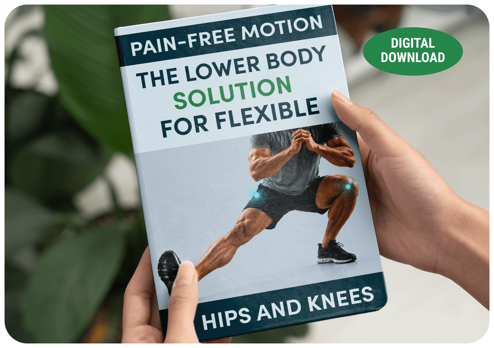 Pain-Free Motion bonus guide